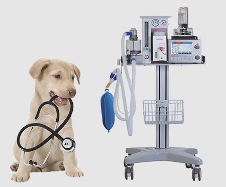Hospital Furniture