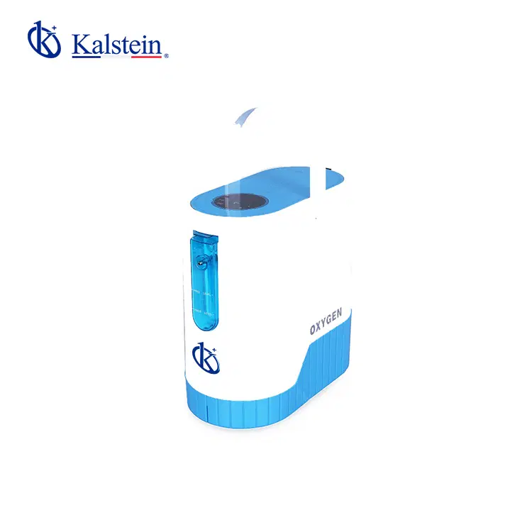 Portable Oxygen Concentrator with Rechargeable Battery YR06349