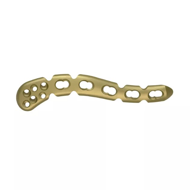LCP Clavicle Plate with extension 1