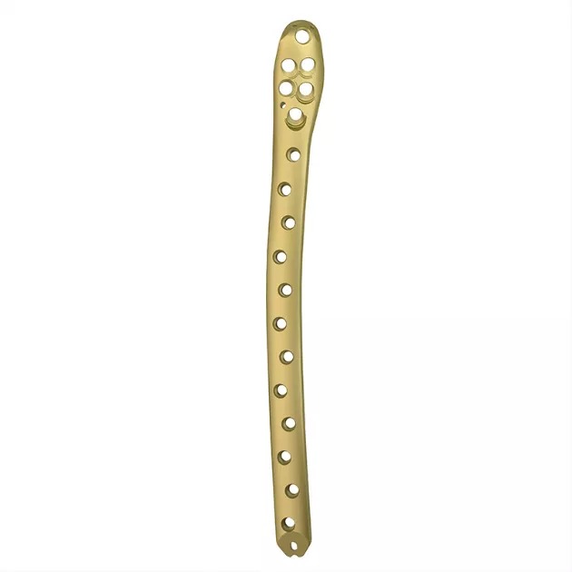LISS Proximal Femoral Plate 01