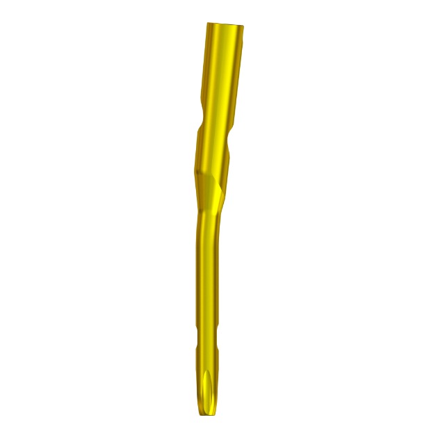 MR-IM Femoral Nail 02