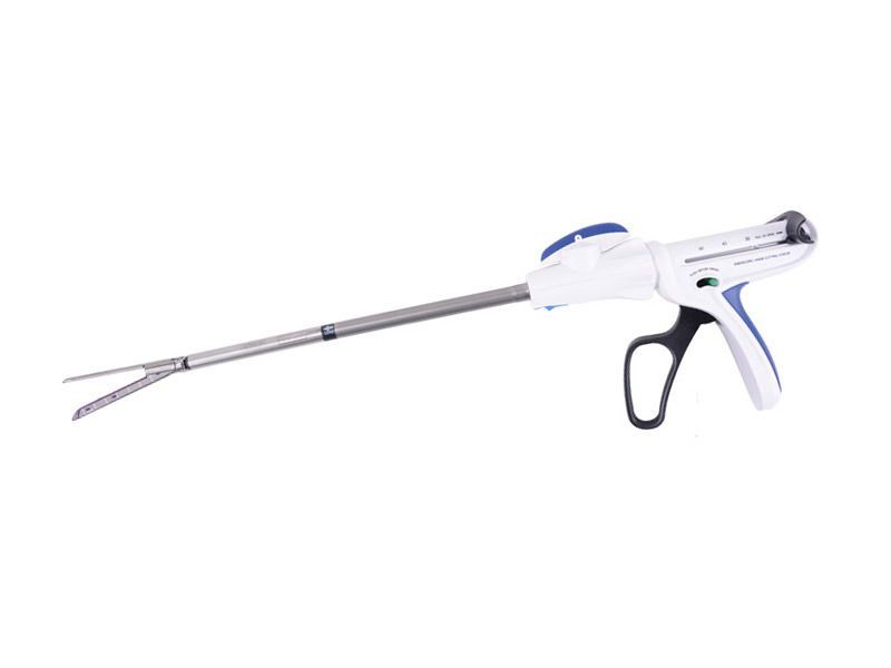 Disposable Endoscopic Staplers and Reloads QMBE