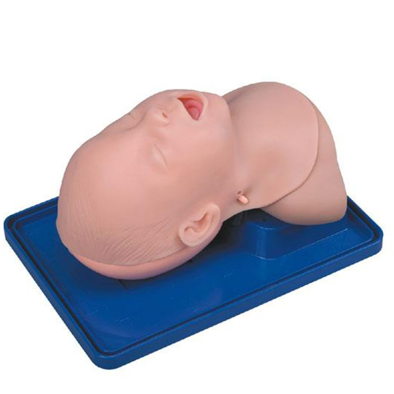 ЗА Infant Trachea Intubation Model