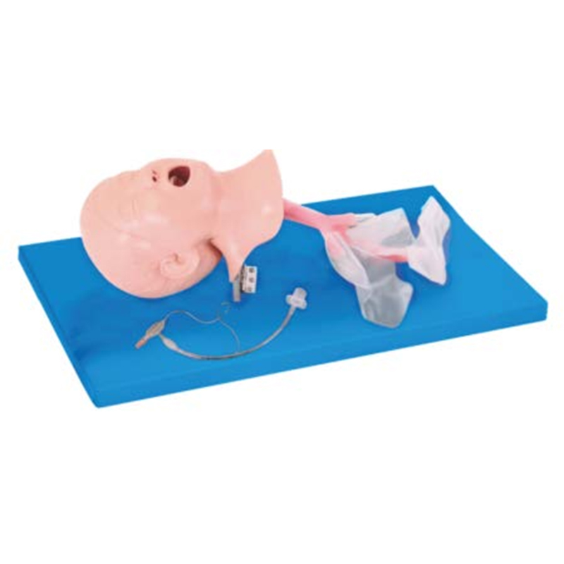 1A Child Trachea Intubation Model