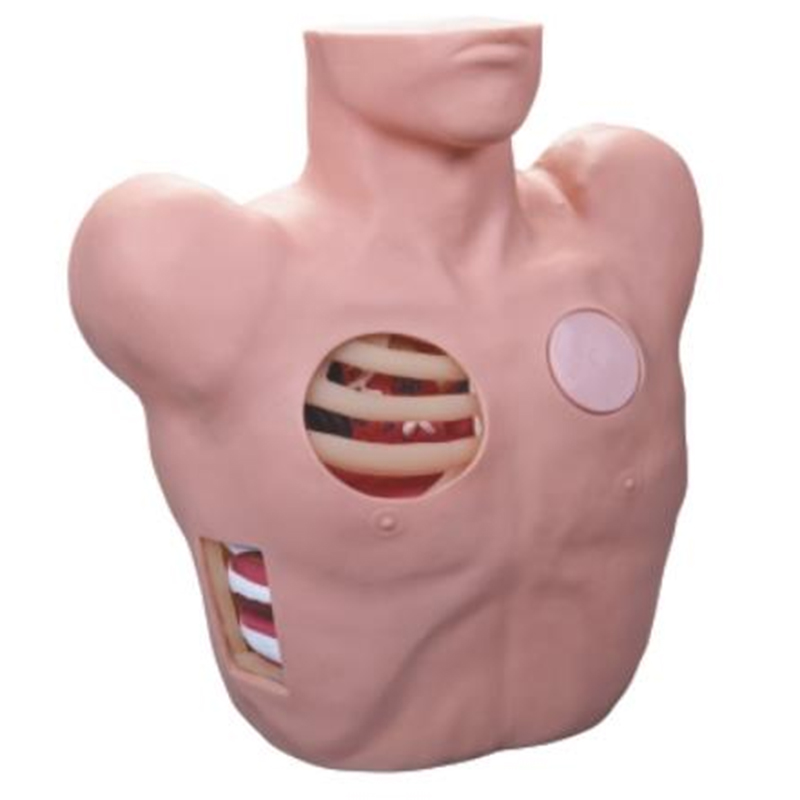 L66 Thoracentesis Drainade Model