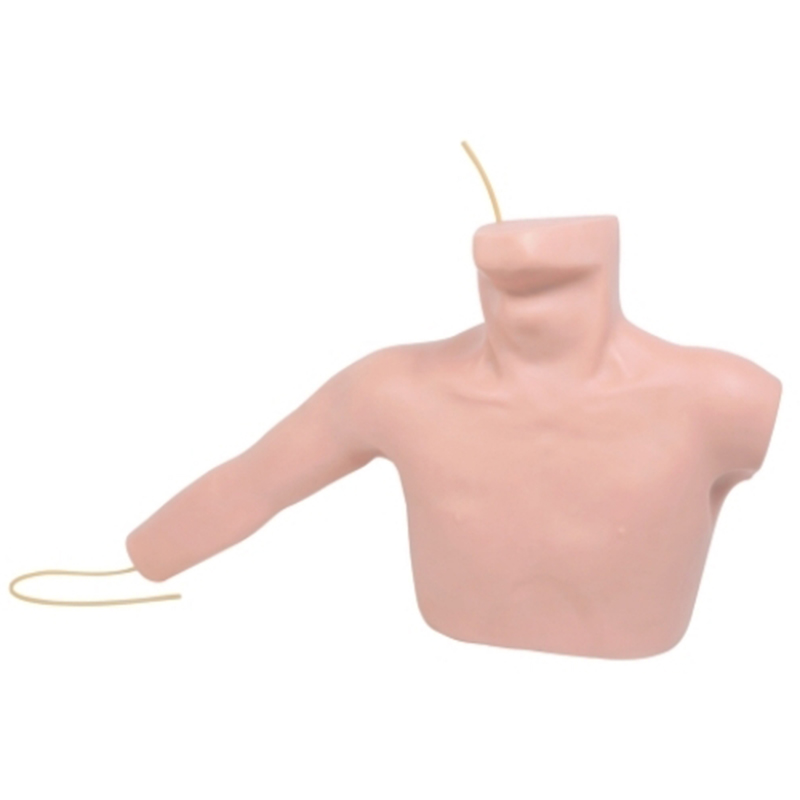L67A Peripheral Puncture and Central Venous Puncture Model