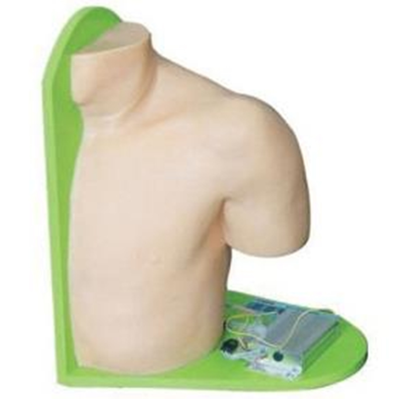 L70 Shoulder Joint Cavity Injection Model