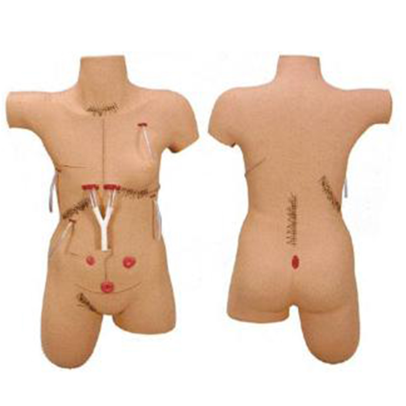 LV18 Surgical Suture and Bandage Model