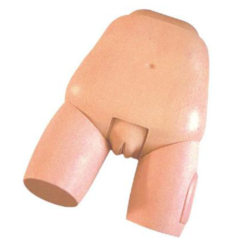 31 Fundus of Uterus Exam & Evaluation Model