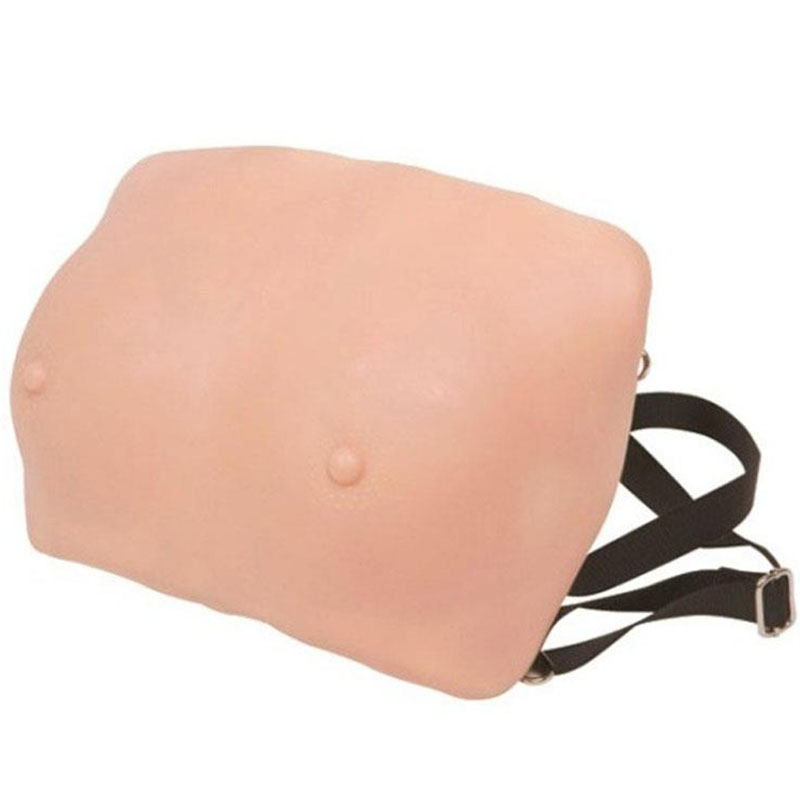 14 Breast Examination Model