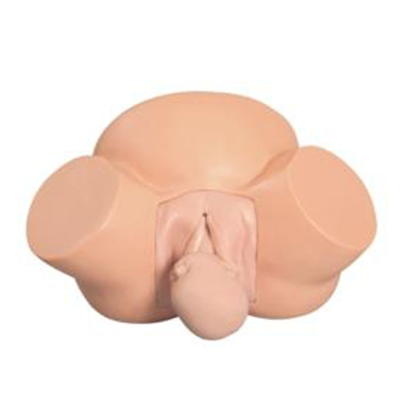 8 Delivery Model