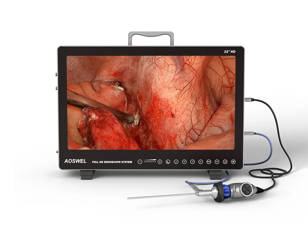 Portable Endoscopy Imaging System